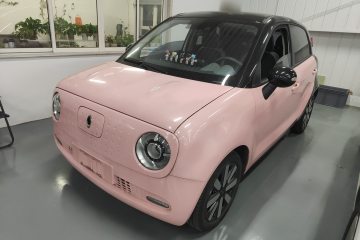 Used ORA Black Cat 2019 351 km Family Edition