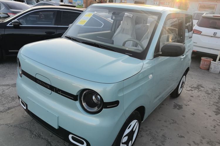 Used  Panda 2025 210 km – Yuanqi Bear
