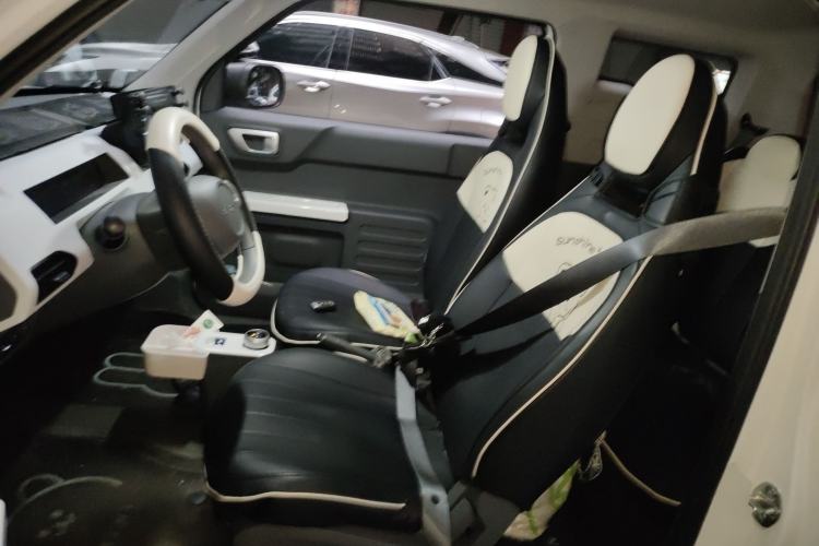 Used  Panda 2024 Panda Mini 200km Endurance Bear
