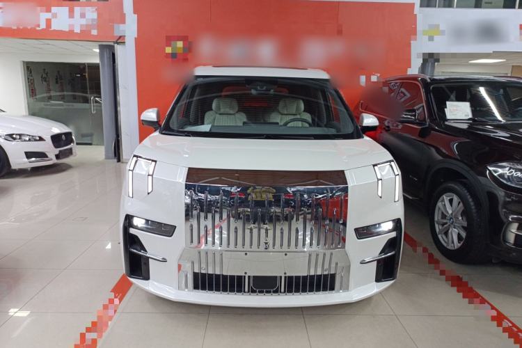 Used Zeekr 009 2022 WE Edition