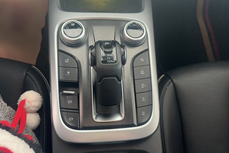 Used Tank 300 2021 Off-Road Edition 2.0T Conqueror