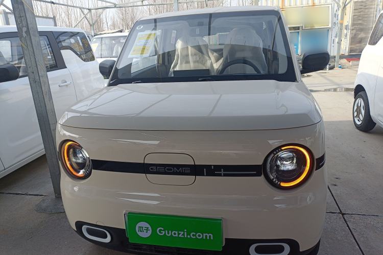 Used  Panda 2025 210 km – Yuanqi Bear
