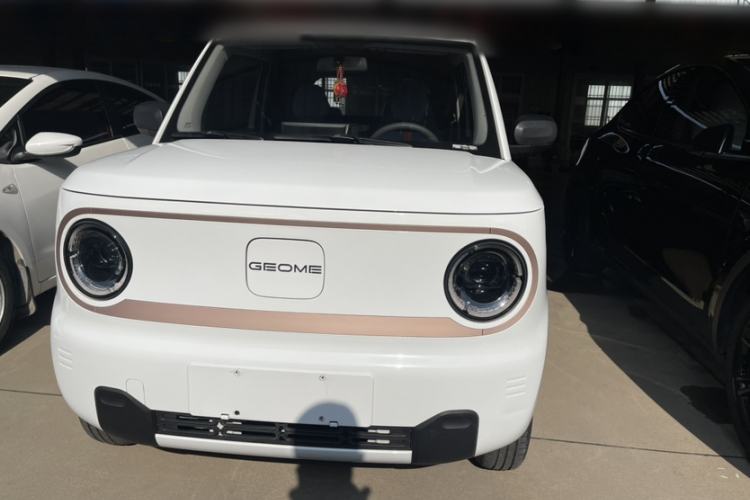 Used  Panda 2023 Panda Mini 200km Endurance Bear