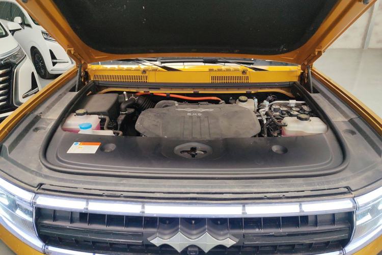 Used  Leopard 5 2023 Flagship Edition
