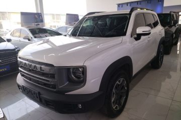 Used Haval DARGO 2024 2.0T DCT Chinese Rural Dog Edition