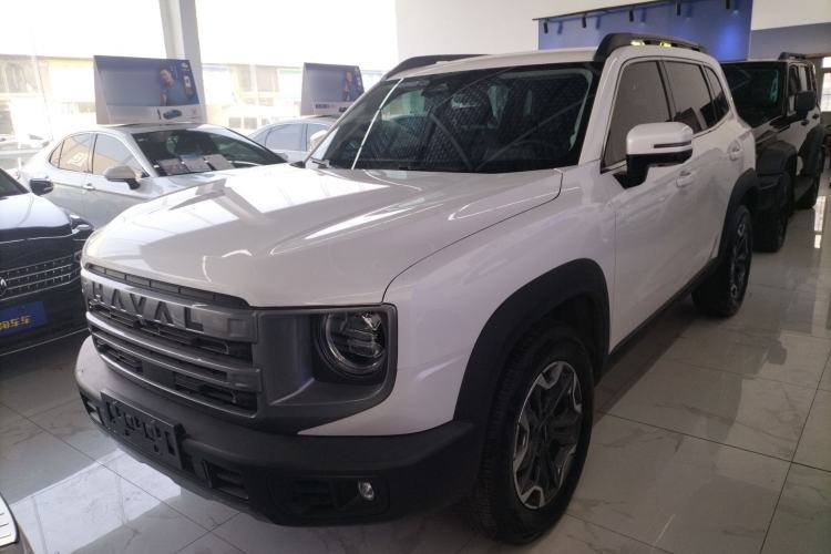 Used Haval DARGO 2024 2.0T DCT Chinese Rural Dog Edition