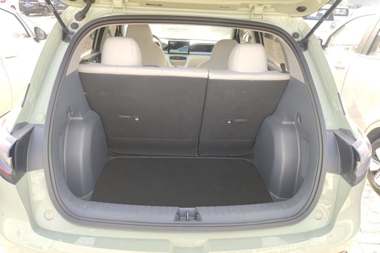 Used  Geome 2025 310km Youth Edition