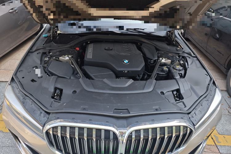 Used BMW 7 Series 2019 730Li Luxury Package
