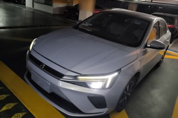 Used Rising ER6 2021 New Dynamic Edition 620km Smart Drive Version