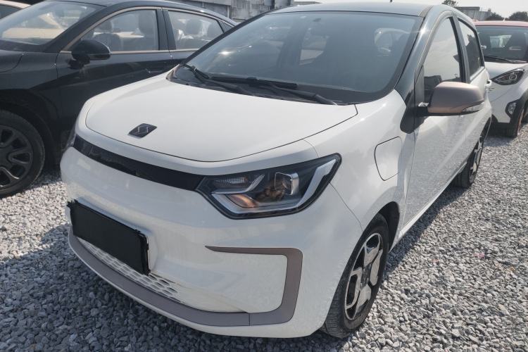 Used SOL E10X 2022 Flower Fairy Style Baby's Breath