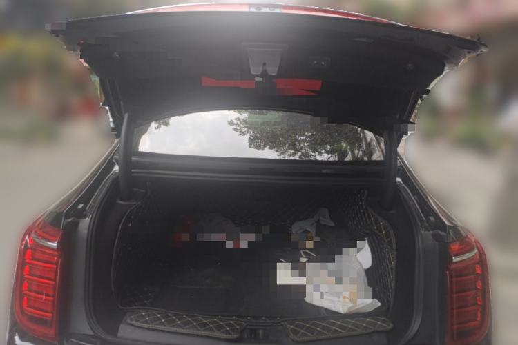 Used Hongqi H9 2020 2.0T Smart Connect Flagship Edition