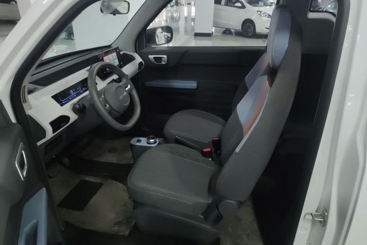 Used  Panda 2024 Panda Mini 200km Endurance Bear
