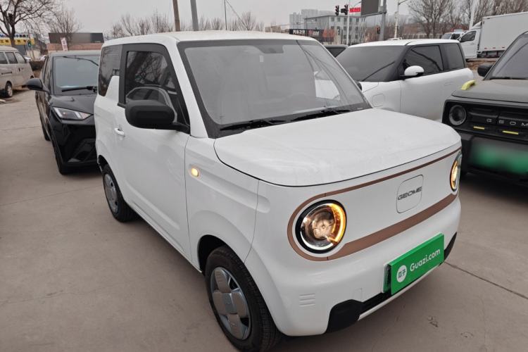 Used  Panda 2024 Panda Mini 200km Endurance Bear