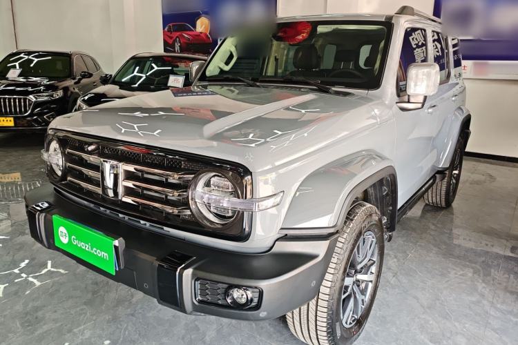 Used Tank 300 2024 2.0T Crosser
