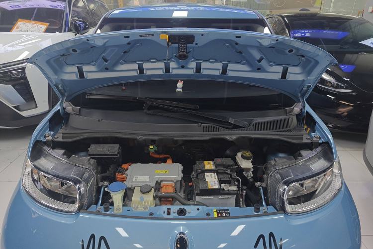 Used ORA White Cat 2020 305 km Luxury Version
