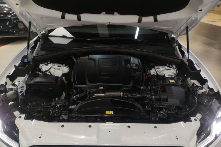 Used Jaguar F-PACE 2024 P250 R-Dynamic SE
