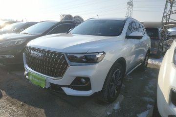 Used Haval H6 2023 National Trend Edition 1.5T Automatic Champion Version