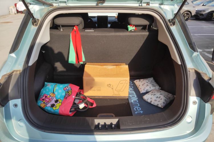 Used NETA V 2022 Chao 300 Lite Lithium Iron Phosphate
