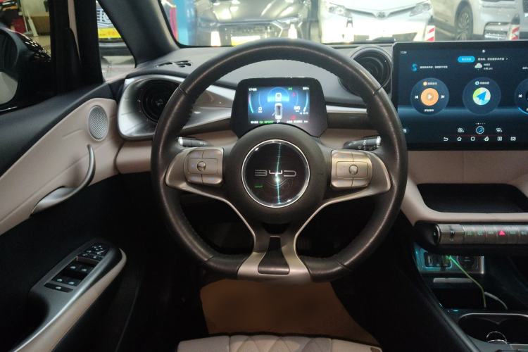 Used BYD Dolphin 2021 405 km Free Version
