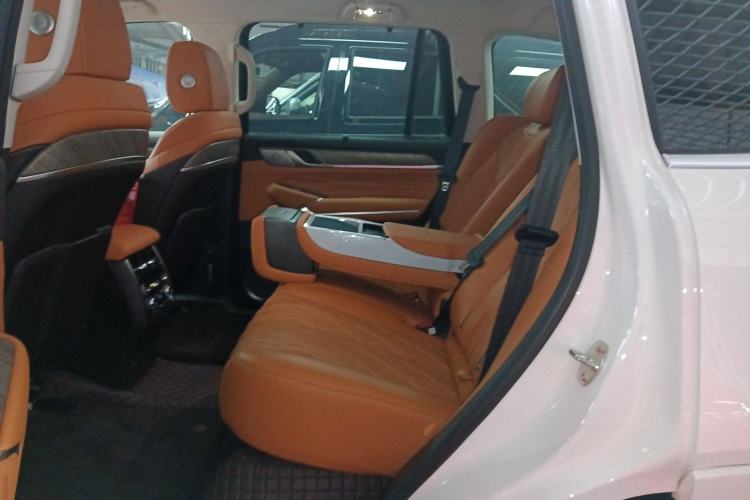 Used Tank 500 New Energy 2025 Hi4-Z
