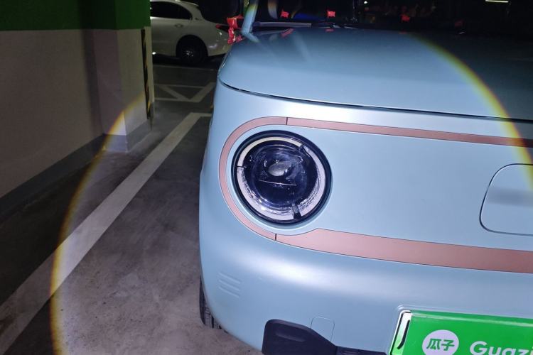 Used  Panda 2024 Panda Mini 200km Endurance Bear