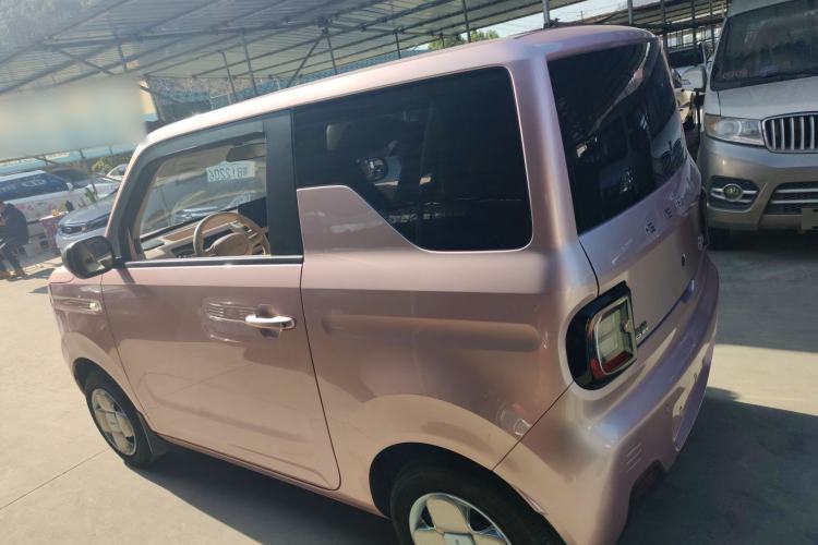 Used  Panda 2023 Panda Mini 200km Endurance Bear