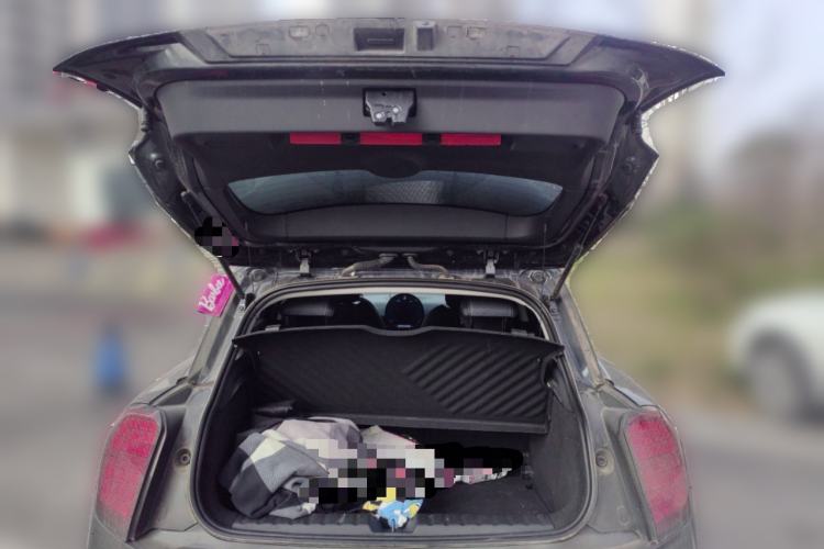 Used  Electric MINI ACEMAN 2024 E Classic Edition