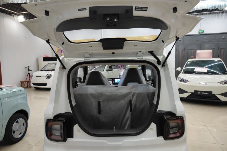 Used  Panda 2024 Panda Mini 200km Endurance Bear
