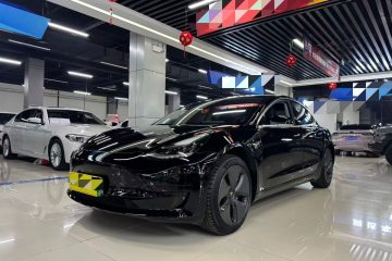 Used Tesla Model 3 2019 Standard Range Rear-Drive Upgraded Version