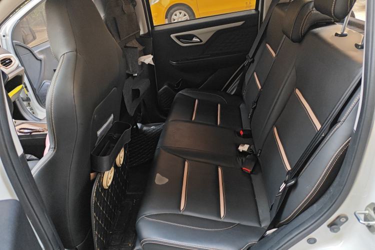 Used SOL E10X 2022 Flower Fairy Design Four-Leaf Clover