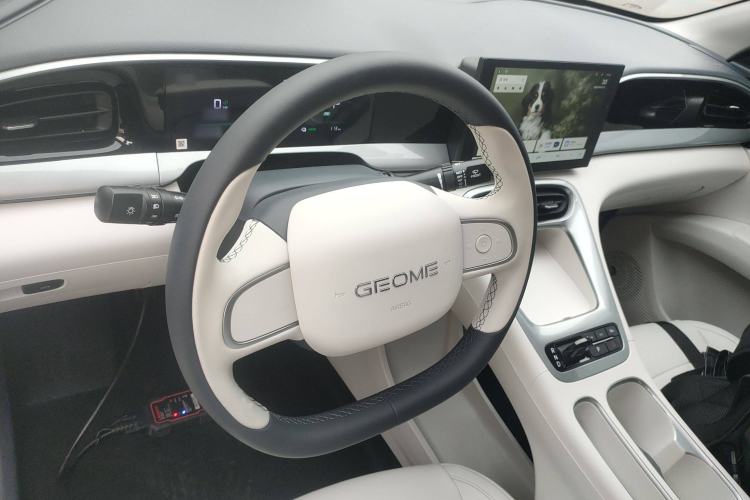 Used  Geome 2025 310km Youth Edition