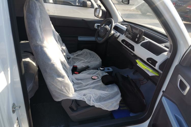 Used  Panda 2024 Panda Mini 200km Endurance Bear
