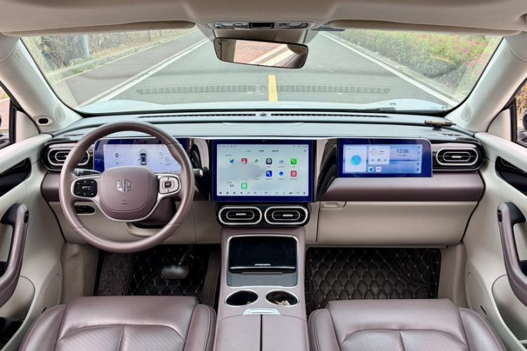 Used Leapmotor C11 2023 Pure Electric 500 Comfort Edition
