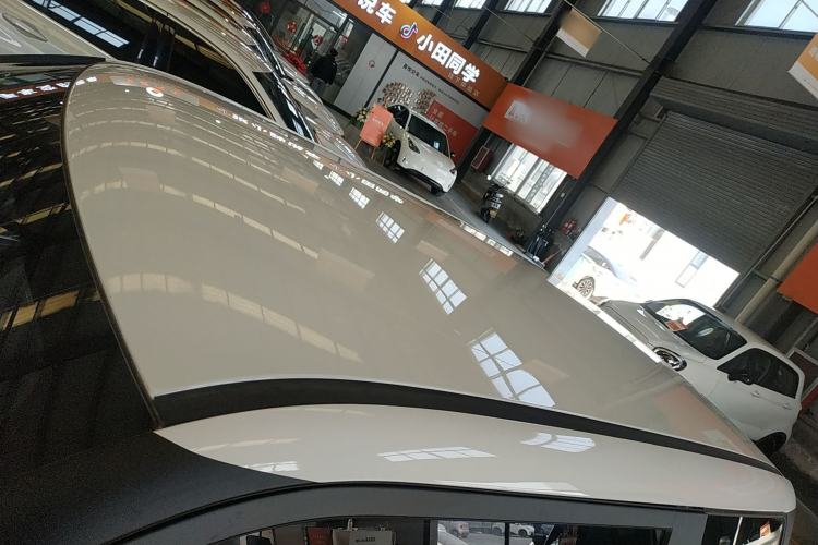 Used Qiyuan Lumin 2025 205 km Xiangqin Version