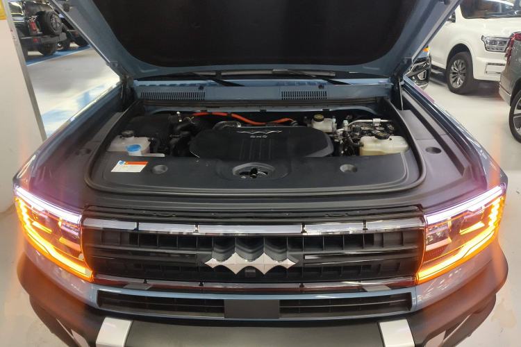 Used  Leopard 5 2023 Flagship Edition
