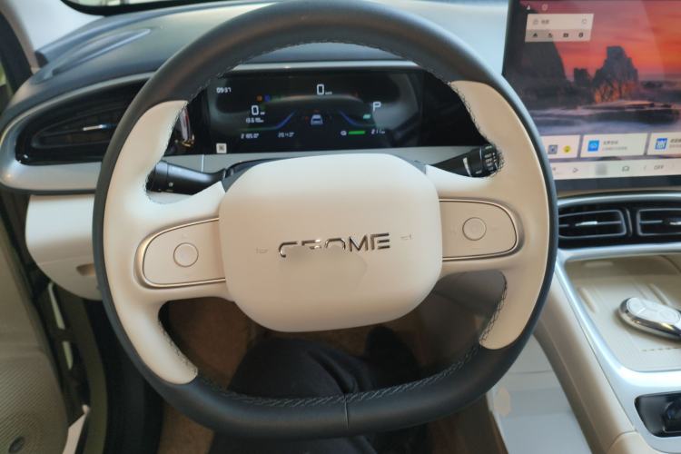 Used  Geome 2025 310km Dream Edition
