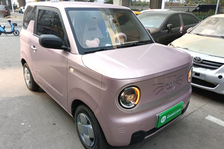 Used  Panda 2023 Panda Mini 200km Endurance Bear
