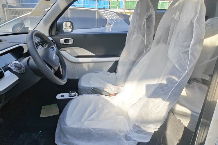 Used  Panda 2025 210 km – Yuanqi Bear