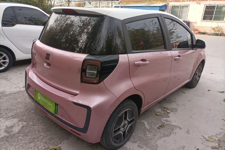 Used SOL E10X 2022 Flower Fairy Design Four-Leaf Clover
