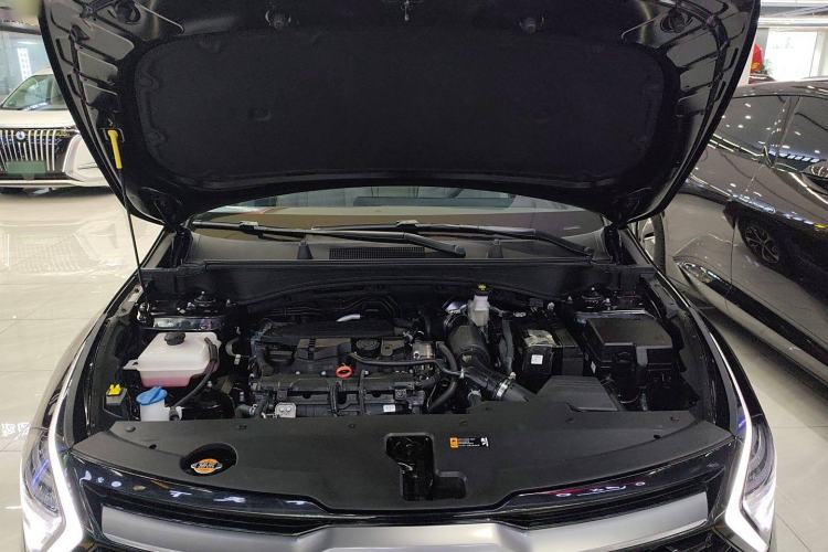 Used Kia Sportage 2023 1.5T Two-Wheel Drive Prestige Edition
