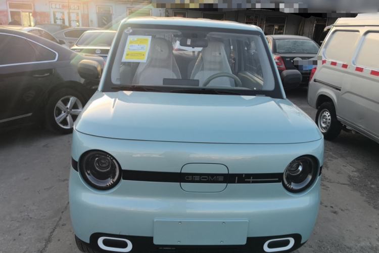 Used  Panda 2025 210 km – Yuanqi Bear
