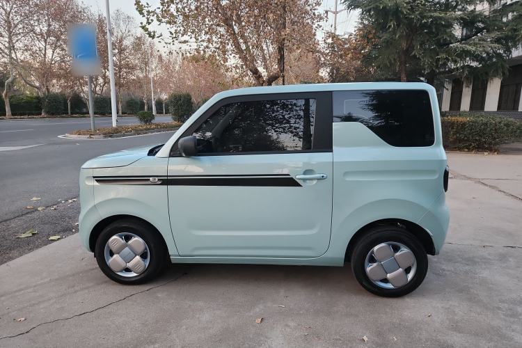 Used  Panda 2024 Panda Mini 200km Endurance Bear