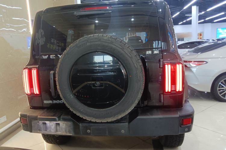 Used Tank 300 2021 Off-Road Edition 2.0T Conqueror
