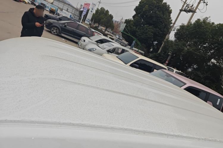 Used  Panda 2024 Panda Mini 200km Endurance Bear
