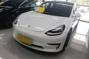 Used Tesla Model 3 2019 Standard Range Rear-Wheel Drive Upgraded Version (60 kWh)