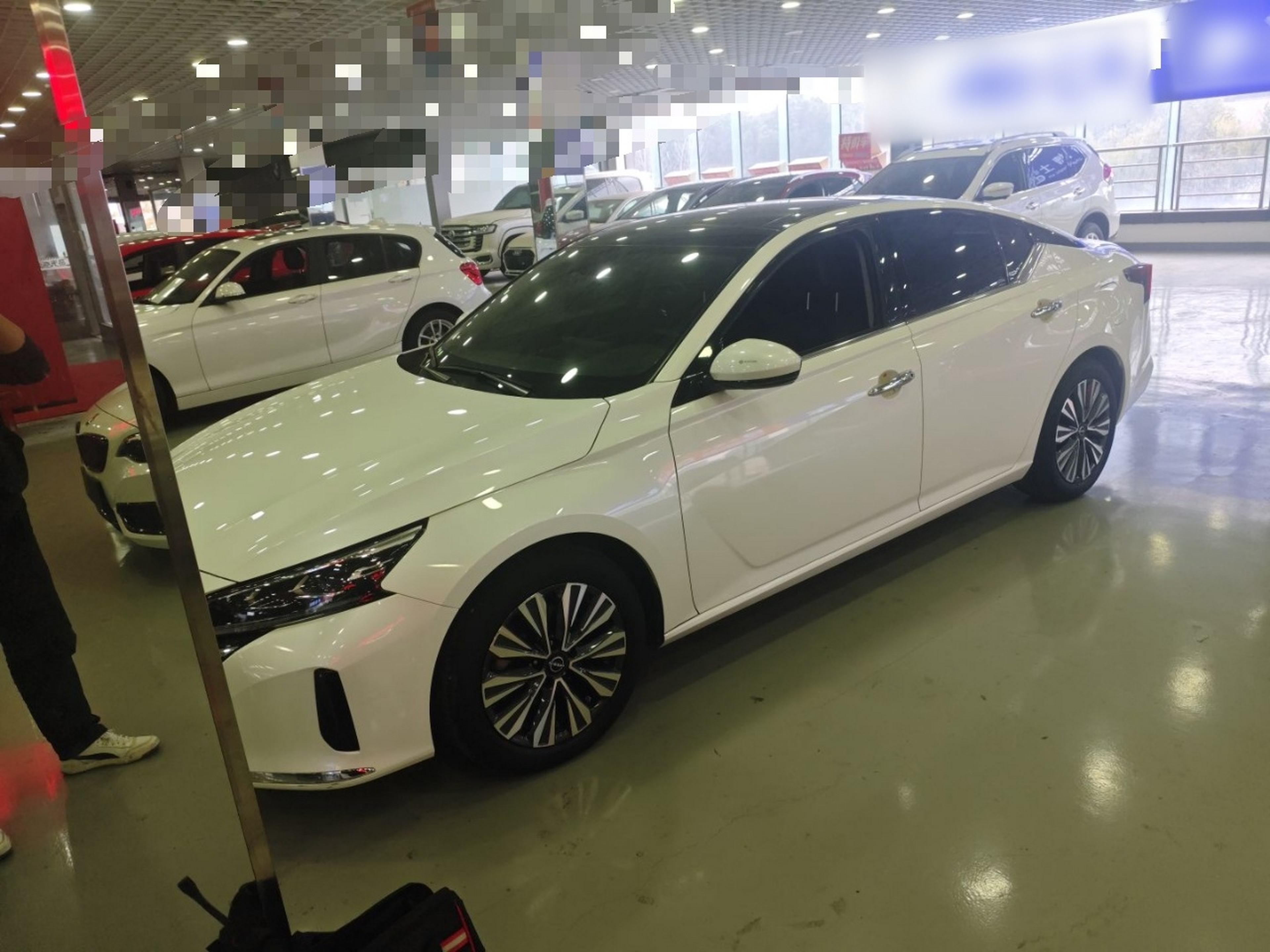 تحت مقدمة السيارة