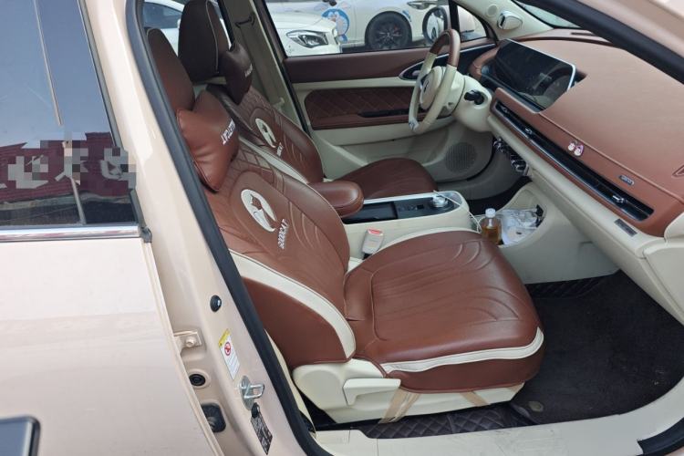 Used ORA Good Cat 2021 400km Standard Range Venus Edition Lithium-Ion Battery
