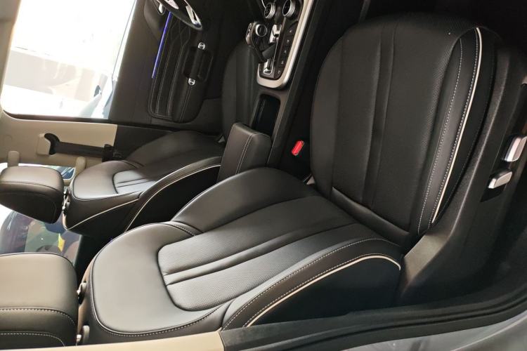 Used Tank 300 2024 2.0T Crosser
