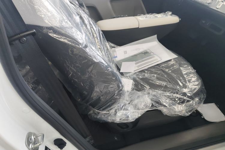 Used  Lumin 2025 205 km Xiangqin Version