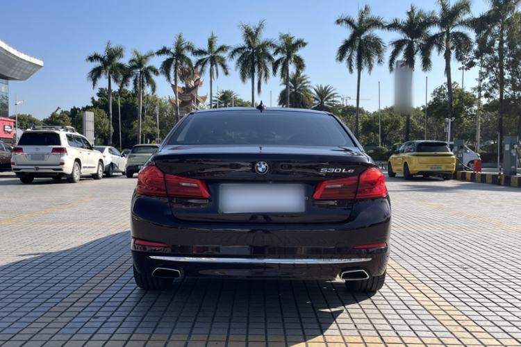 Used BMW 5 Series New Energy 2019 530Le Luxury Package